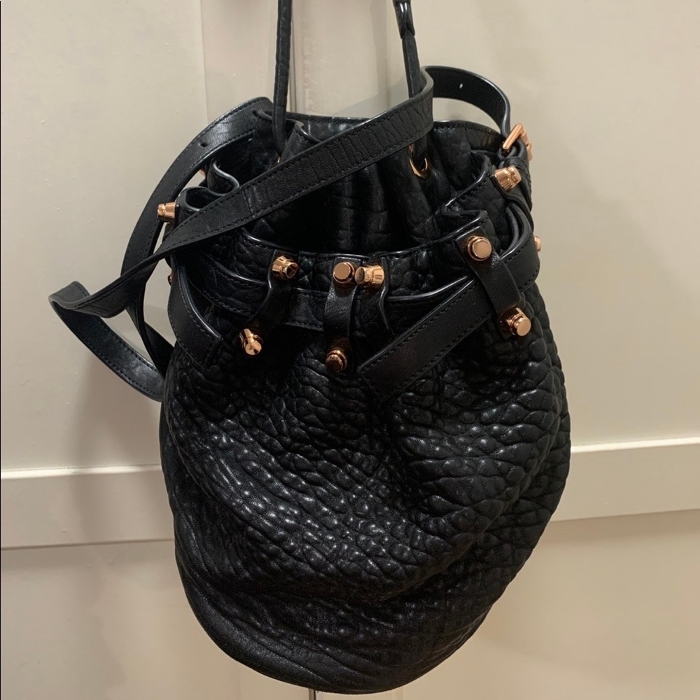 Alexander Wang Diego Bag in rosegold